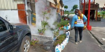 屏東出現本土登革熱病例 縣府提醒民眾落實防疫防蚊措施防堵疫情擴散