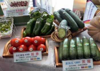 「2025農畜聯合開放日暨第29屆種苗節」29日新化熱鬧登場