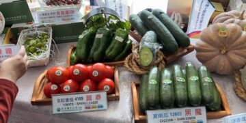 「2025農畜聯合開放日暨第29屆種苗節」29日新化熱鬧登場