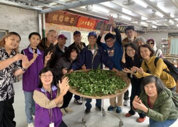 新北坪林茶博館推「手語導覽一日遊」 帶領聾人朋友體驗茶園採製