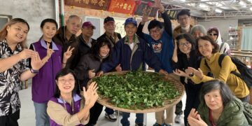 新北坪林茶博館推「手語導覽一日遊」     帶領聾人朋友體驗茶園採製