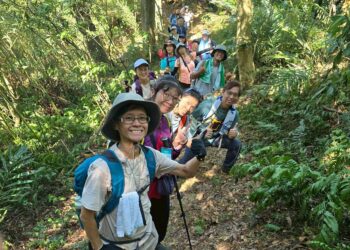 不只親近山林     新北觀旅局推山線輕旅行     集章任務帶你品味茶香、體驗在地文化