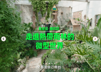 （上集）走進熱帶雨林的微型世界與植 物談場戀愛