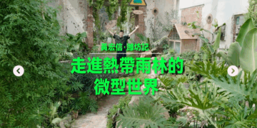 （上集）走進熱帶雨林的微型世界與植 物談場戀愛