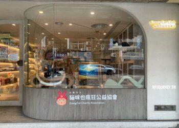 台北最暖「擼貓」秘境！免限時無低消，在「貓咪也瘋狂公益協會」遇見幸福