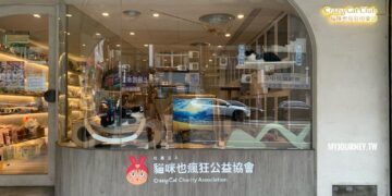 台北最暖「擼貓」秘境！免限時無低消，在「貓咪也瘋狂公益協會」遇見幸福