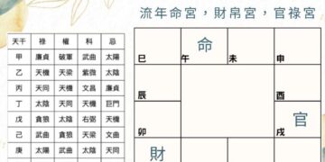 2026年流年運勢怎麼看？欽天紫微斗數公開核心推演法    帶領大家「自己看懂命盤」