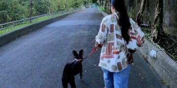 新北動保處推「認養後訓犬課」！專業訓練師到家服務     新手飼主不煩惱