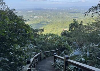 南化區龍湖步道全線修繕完成  打造最佳登山遊憩新亮點