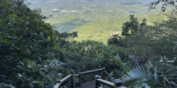 南化區龍湖步道全線修繕完成  打造最佳登山遊憩新亮點