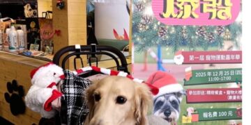 漢神巨蛋變身毛孩樂園　李毛毛萌力運動會歡度聖誕