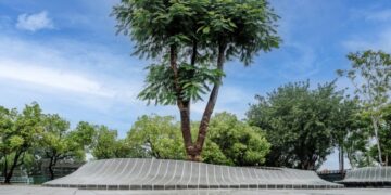 台灣建築寫下紅點新頁 《韻水慢漫》奪2025紅點設計獎最高榮譽