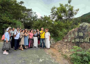 不只賞芒!新北市三安社區推導覽體驗與農遊活動 邀民眾深入了解山城歷史文化