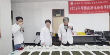 2025冬季阿里山狀元茶競賽揭曉　高山冬茶品質穩定展實力