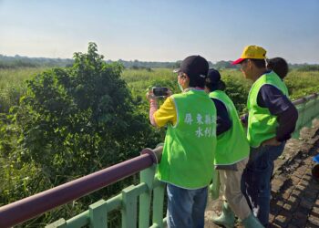 屏縣水利處志工強化綠鬣蜥通報 協助跨域整合再進化