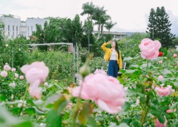 這些地方太好拍！五大香氣景點成為臺北新打卡點    城市魅力藏在不經意的角落