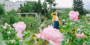 這些地方太好拍！五大香氣景點成為臺北新打卡點    城市魅力藏在不經意的角落