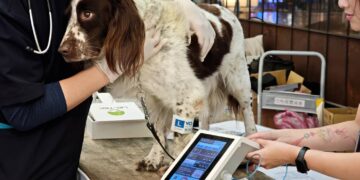 寵物知識平台「PetTalk:說寵物」邁入十週年 攜手「FurMi 毛孩健康卡」整合醫療與科技 打造全方位健康生態系