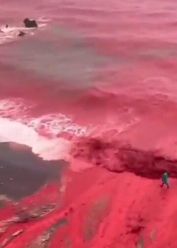 影音/末日景象? 伊朗南部降雨沿海變血海?