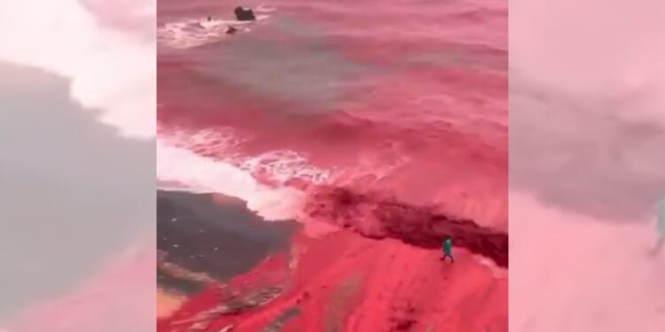 影音/末日景象? 伊朗南部降雨沿海變血海?