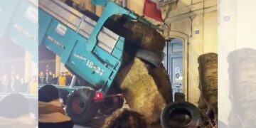 影音/法國牛結節疹疫情蔓延 防疫政策引爆農民怒火