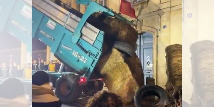 影音/法國牛結節疹疫情蔓延 防疫政策引爆農民怒火