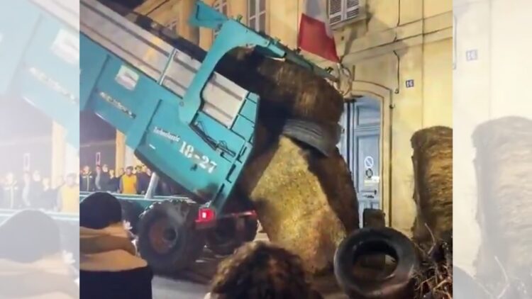 影音/法國牛結節疹疫情蔓延 防疫政策引爆農民怒火