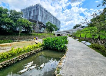 變身藝術水景!鶯歌礫間淨化水導入新北美術館景觀水道 清水中魚鴨悠游、生意盎然