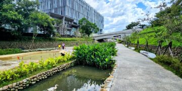 變身藝術水景！鶯歌礫間淨化水導入新北美術館景觀水道     清水中魚鴨悠游、生意盎然