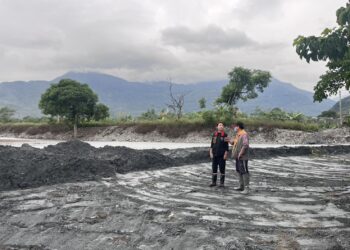 「樺加沙」、「鳳凰」颱風損毀田園 花蓮縣政府啟動實耕者救助作業