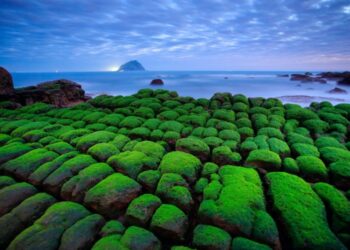 和平島地質公園推出「2026 四季旅行票」 航向基隆400年