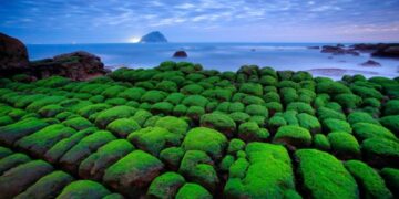 和平島地質公園推出「2026 四季旅行票」 航向基隆400年