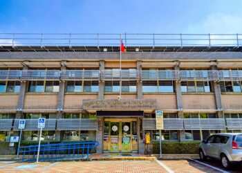 加強執行非洲豬瘟裁罰案件，義務人立即繳清罰鍰