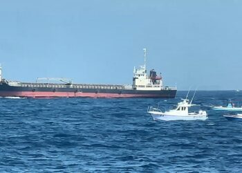 維護海域錨泊秩序　海巡署南部分署與航港局聯手查處滯留船舶