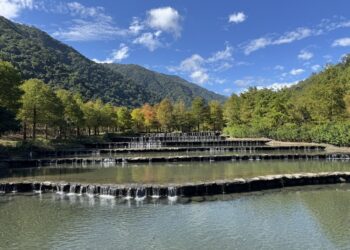 宜蘭全新網美打卡景點三層坪 水土保持農塘教育園區閃亮登場