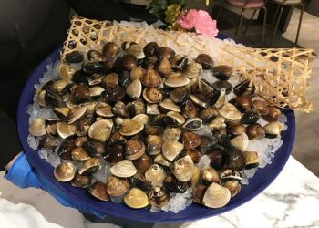 肉多多跨年夜圍爐嗑鍋到三點半   團體歡聚加碼送百顆蛤蜊