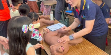 新北 2026 寵物 CPR 課程開跑！20 場免費訓練     為毛孩守護生命線