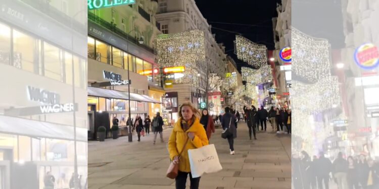 影音/人口結構大變化 維也納今年一年級學生首次50.9%不懂德語