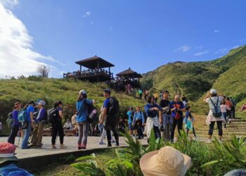 「2025草嶺古道芒花季」活動落幕   逾10萬人次賞芒