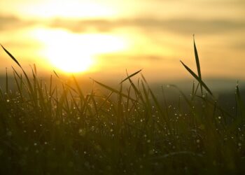 迎接2026！元旦曙光地圖大公開 第一道在「這裡」