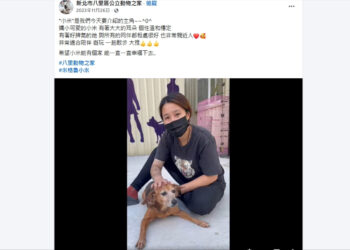 不定期辦認養會！新北動保處攜手企業推廣     專注熟齡混種動物     讓牠們有更多回家的機會