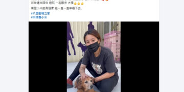 不定期辦認養會！新北動保處攜手企業推廣     專注熟齡混種動物     讓牠們有更多回家的機會