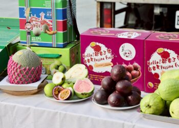 台南蜜棗首銷新加坡　冬季優質水果拓國際市場