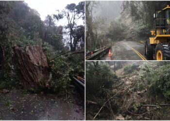 影音/中橫宜蘭支線米摩登路段坍方中斷 預計1/2下午搶通