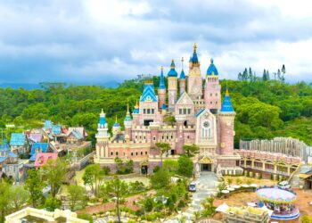 嘉義梅山公園現「平地雪」美景  1月底前把握賞花時機