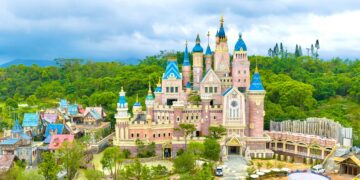 嘉義梅山公園現「平地雪」美景 1月底前把握賞花時機