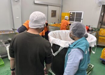 嘉義縣執行春節食安專案　驗出1件筍干二氧化硫超標