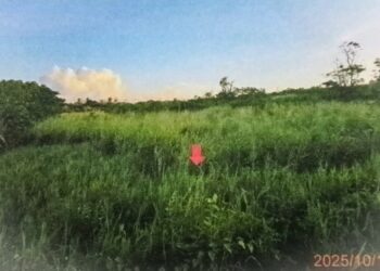 屏東分署農曆春節前123聯合拍賣會　拍賣佳冬鄉菜市場二、三樓建物及恆春鎮完整農地