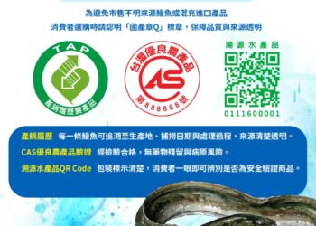 從海洋到餐桌的精緻選擇 國產鰻魚品質安心享用