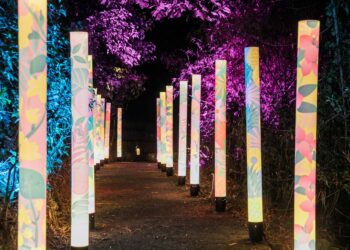 屏東高樹奇幻大津2/3至3/4　雙金男星劉冠廷回鄉共襄盛舉